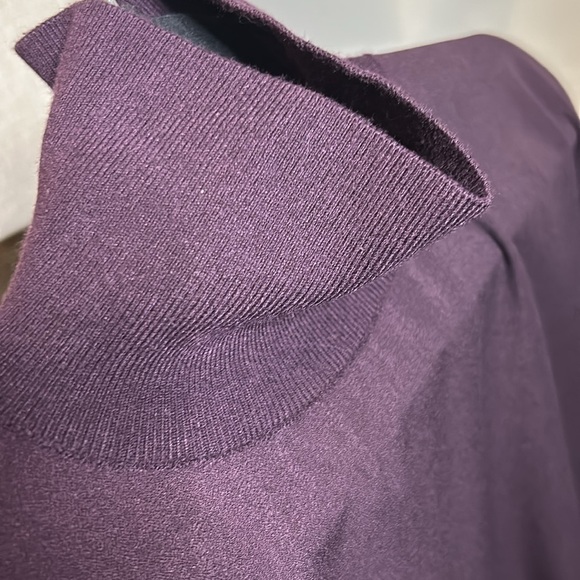 Aritzia Babaton Hamish Mock Neck Oversized
Bat Wing Dolman Sleeve Blouse Purple - Picture 4 of 16